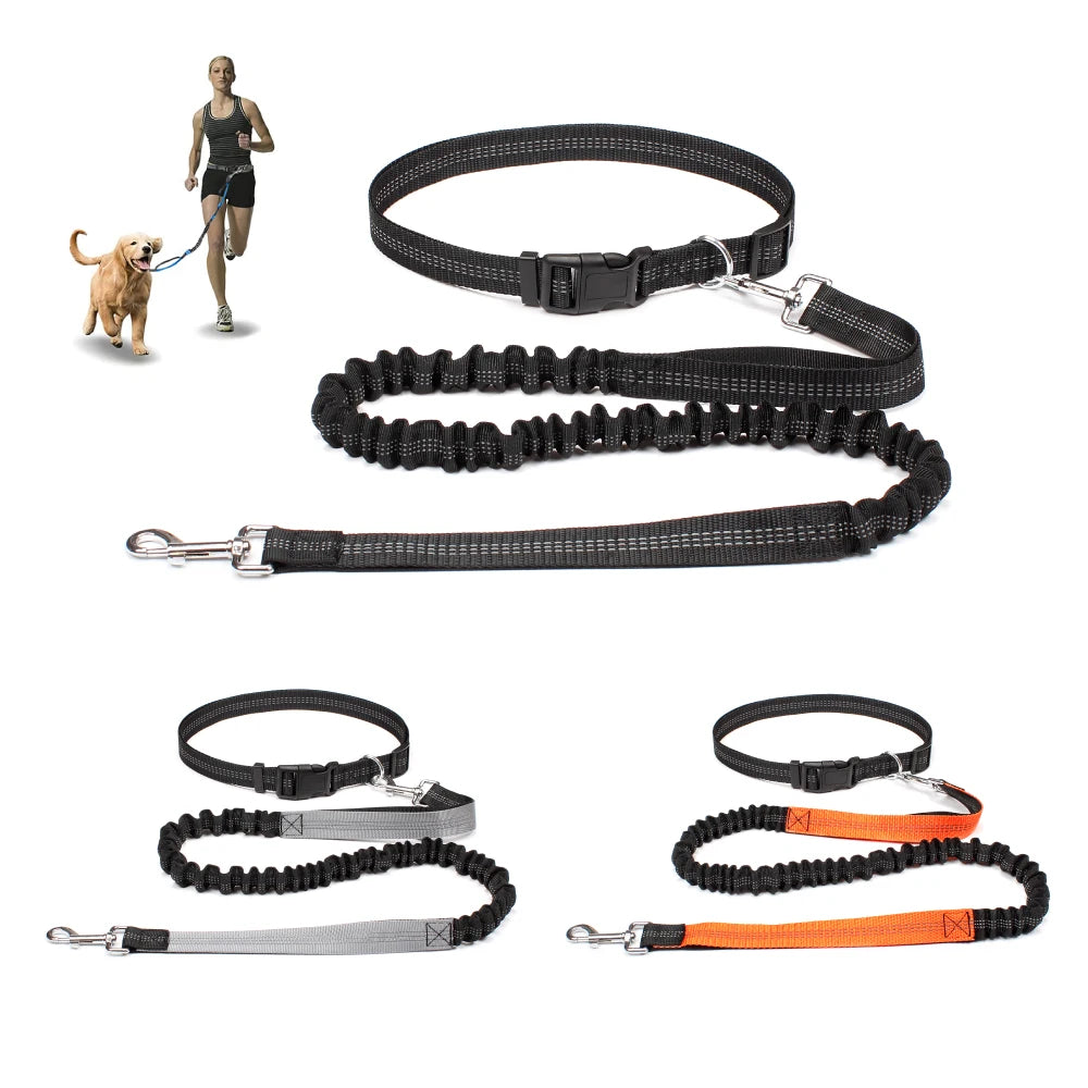 Reflective Dual Bungee Hands Free Dog Lead