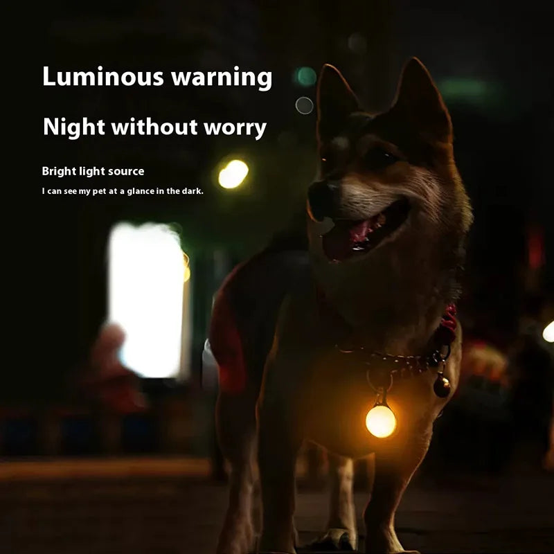 LED Luminous Dog Collar Pendant