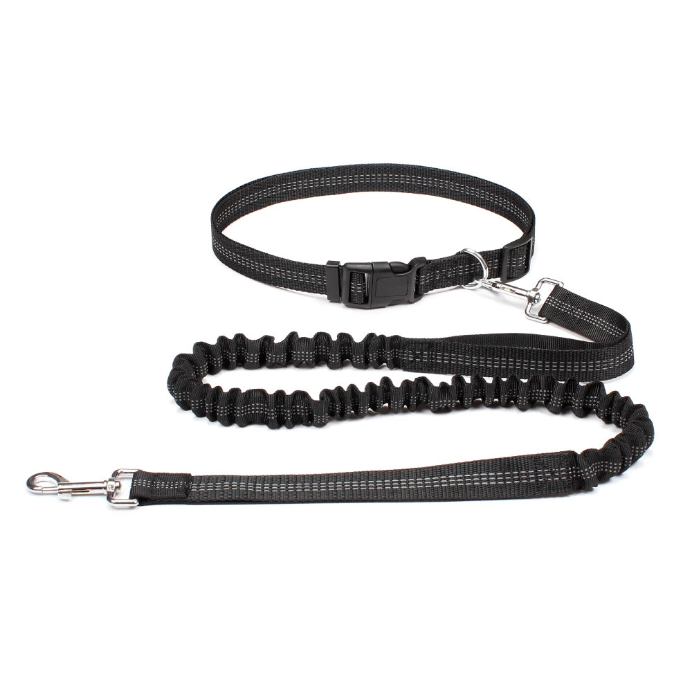 Reflective Dual Bungee Hands Free Dog Lead