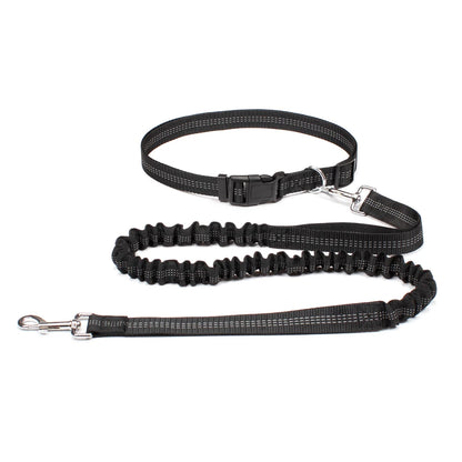 Reflective Dual Bungee Hands Free Dog Lead