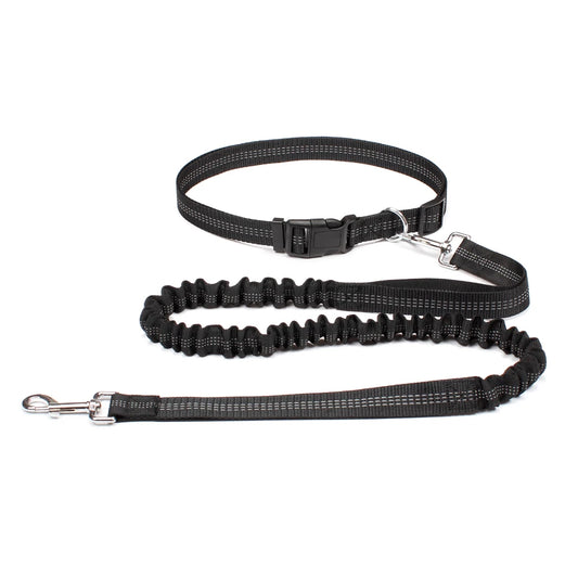 Reflective Dual Bungee Hands Free Dog Lead