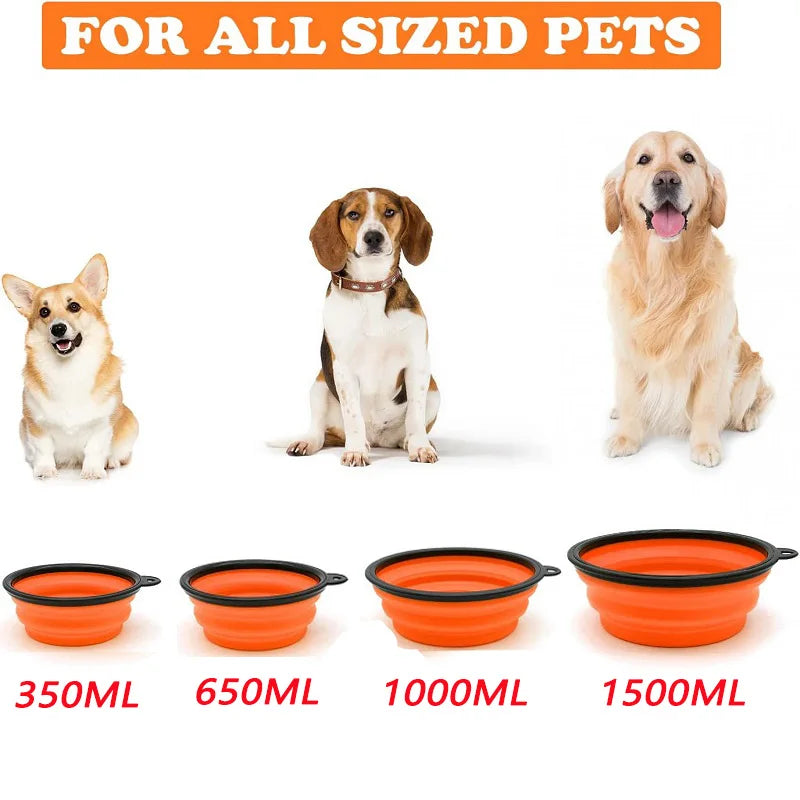 Folding Portable Silicone Dog Feeder & Water Bowl 