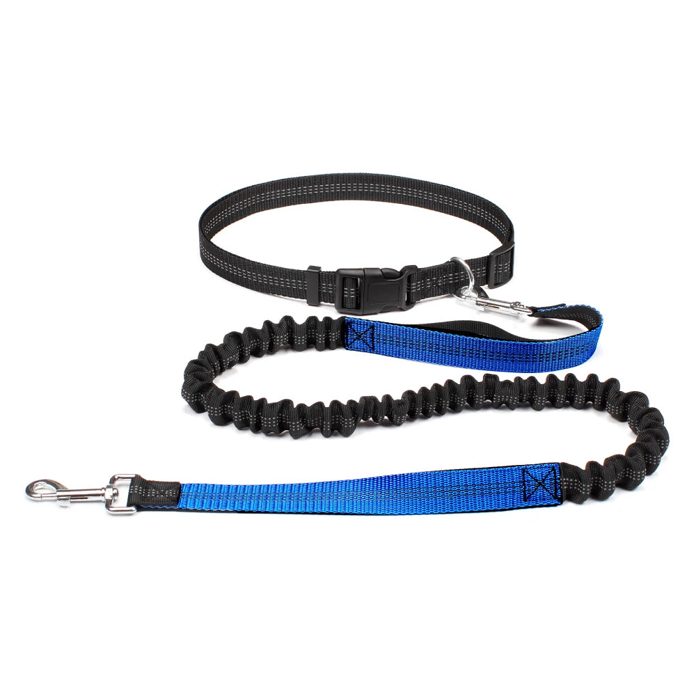Reflective Dual Bungee Hands Free Dog Lead