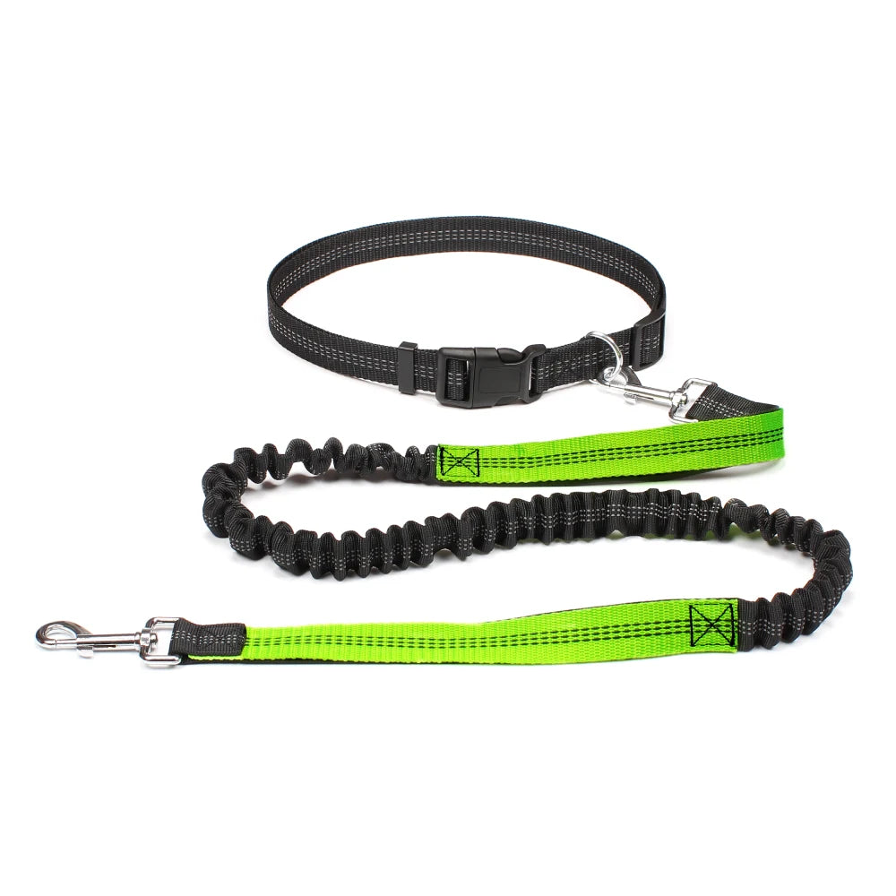 Reflective Dual Bungee Hands Free Dog Lead