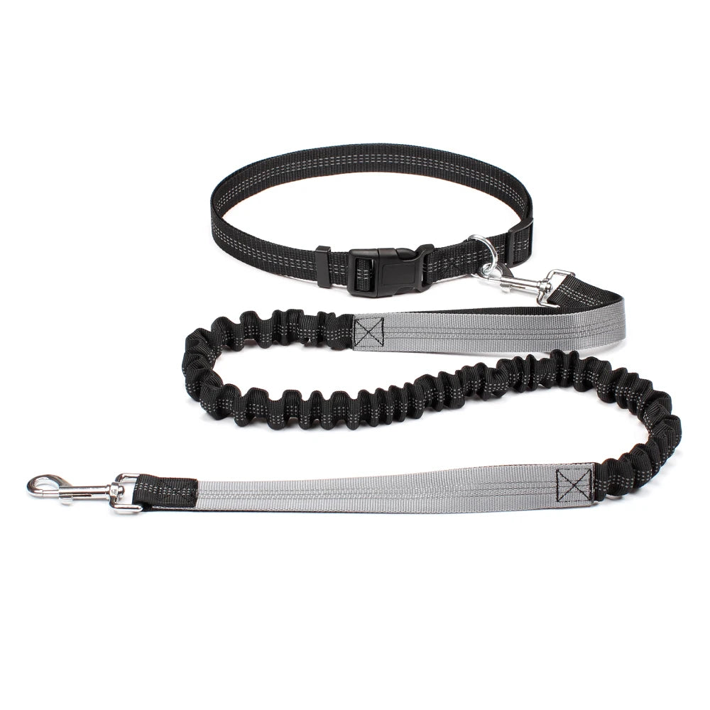 Reflective Dual Bungee Hands Free Dog Lead