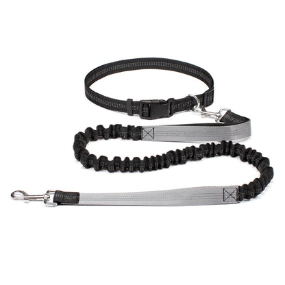 Reflective Dual Bungee Hands Free Dog Lead