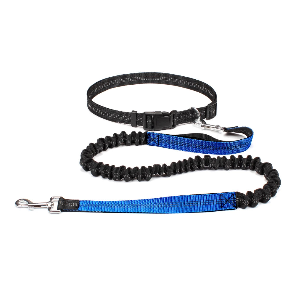 Reflective Dual Bungee Hands Free Dog Lead