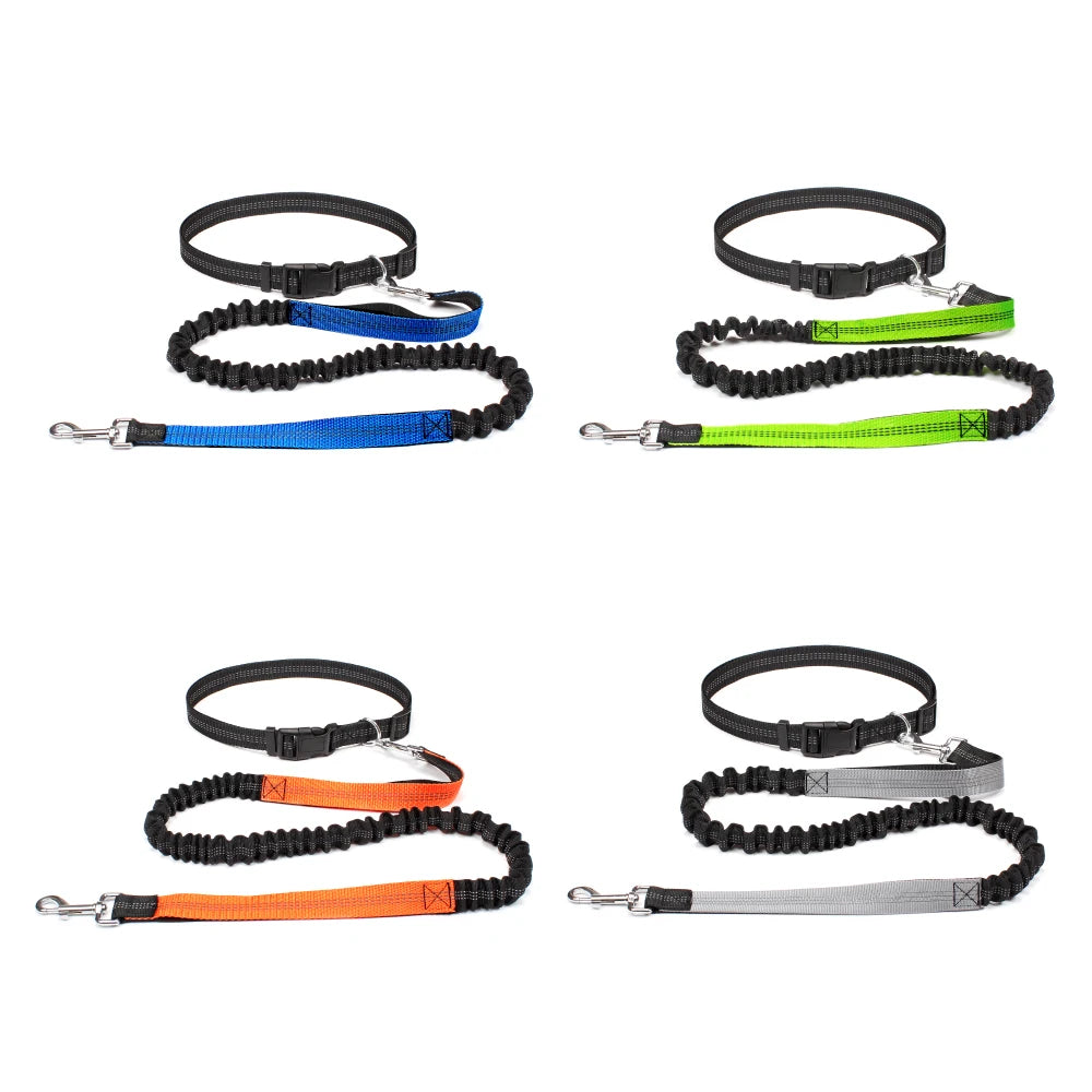 Reflective Dual Bungee Hands Free Dog Lead