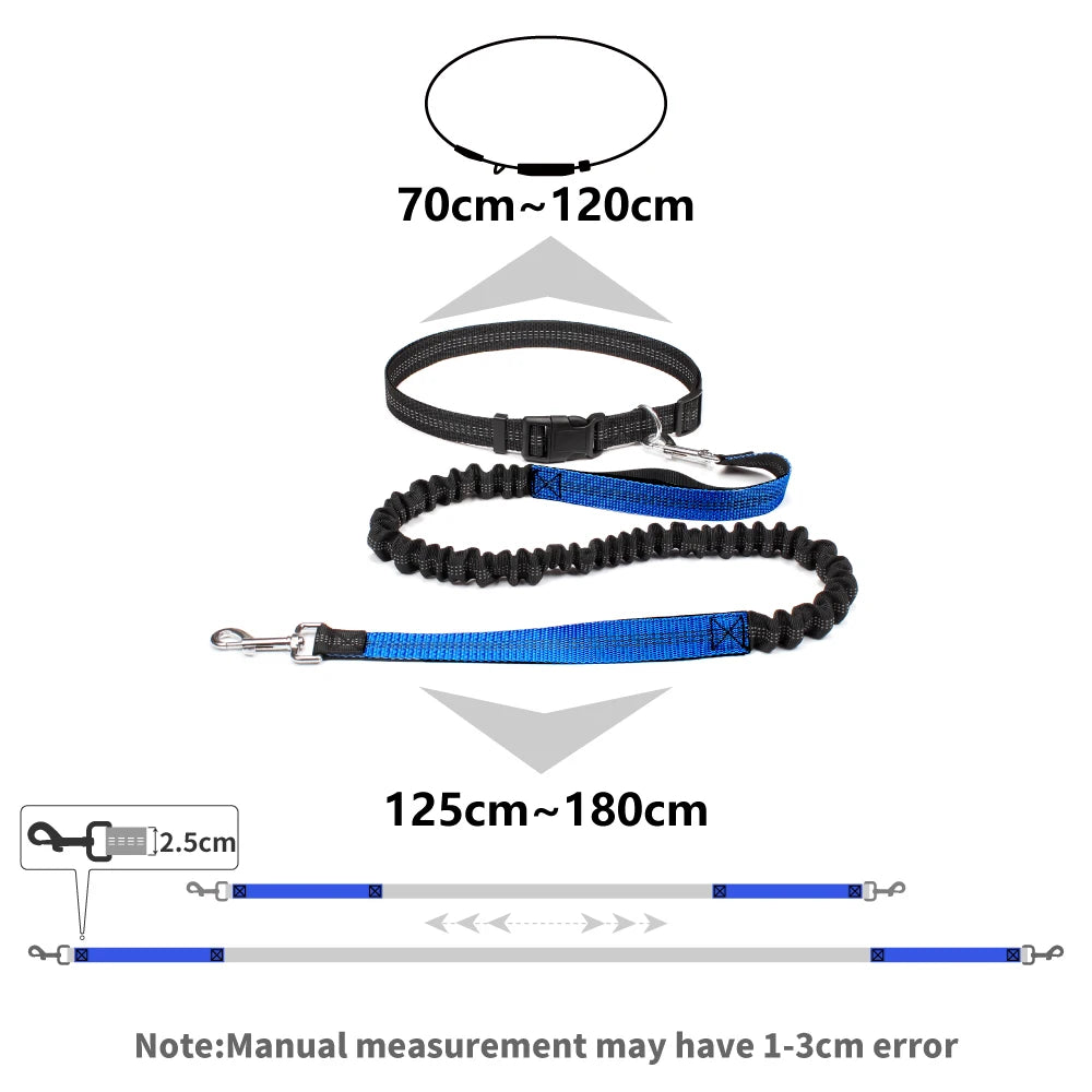 Reflective Dual Bungee Hands Free Dog Lead
