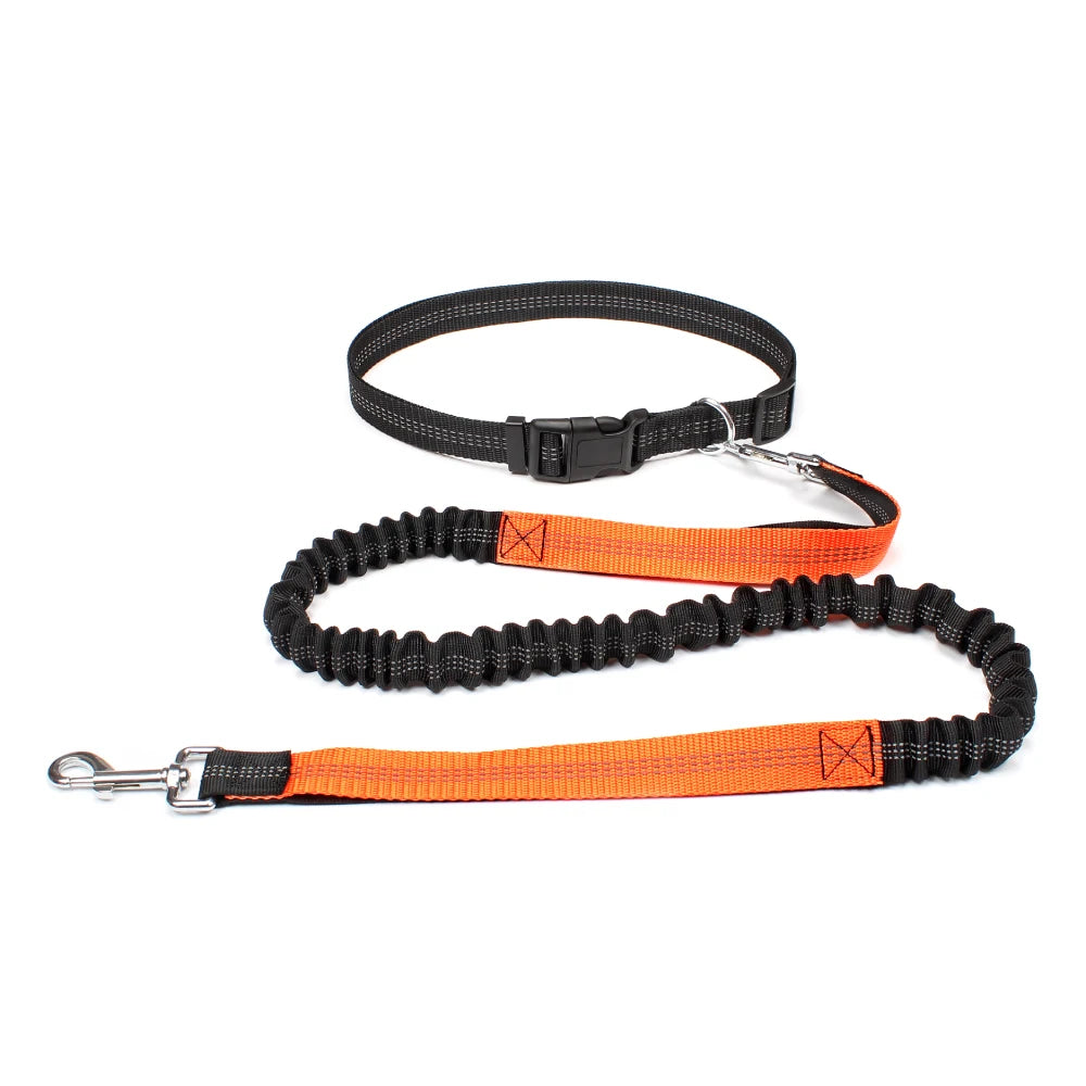 Reflective Dual Bungee Hands Free Dog Lead