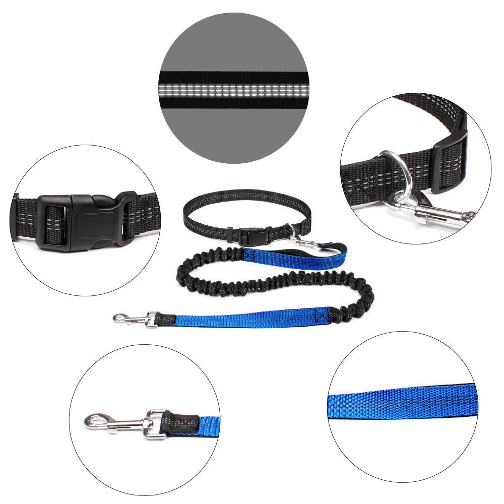 Reflective Dual Bungee Hands Free Dog Lead